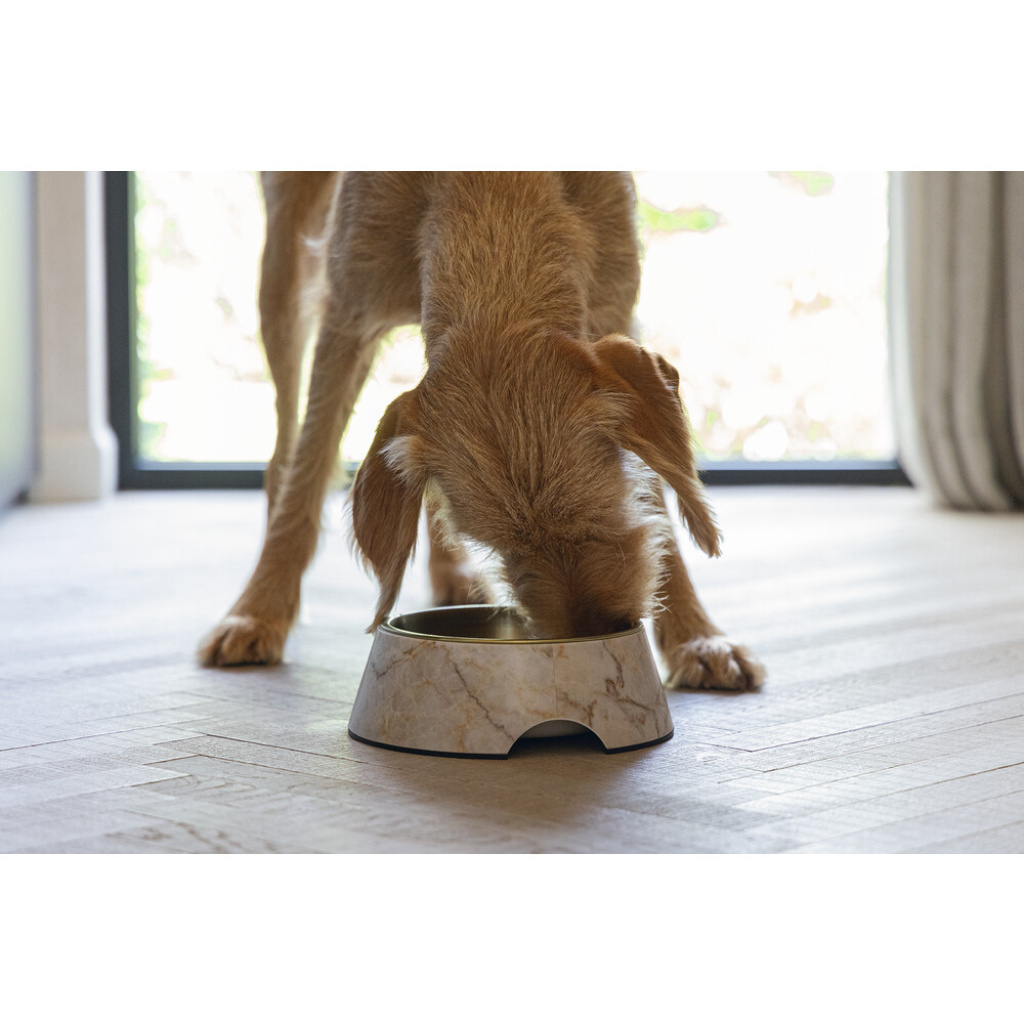 Beeztees Dbl Paslanmaz Çelik Köpek Mama Su Kabı 700ml (Bej Mermer)