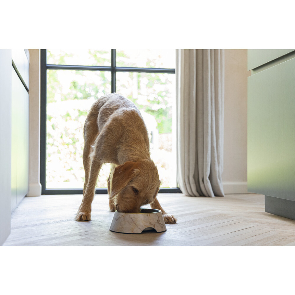 Beeztees Dbl Paslanmaz Çelik Köpek Mama Su Kabı 700ml (Bej Mermer)