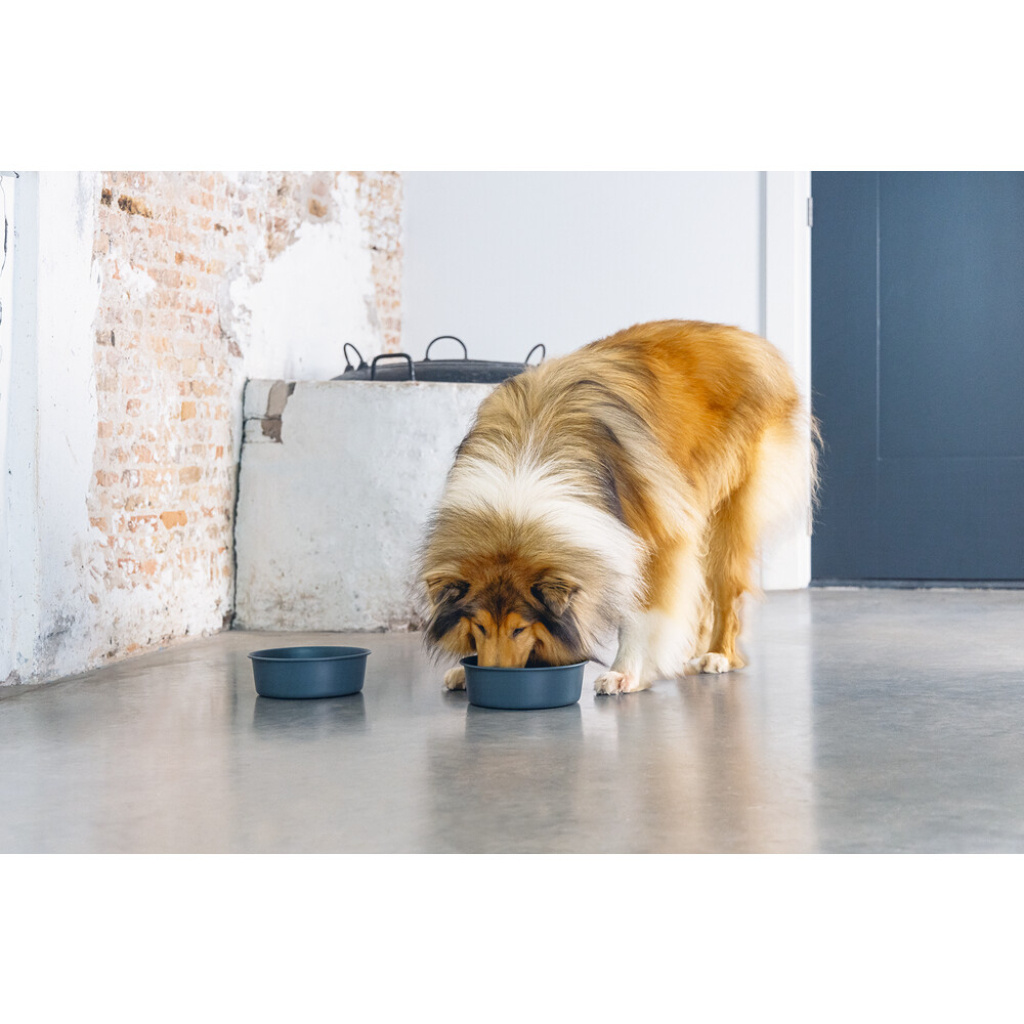 Beeztees Dbl Feribo Paslanmaz Çelik Köpek Mama Su Kabı 1,9lt (Siyah)