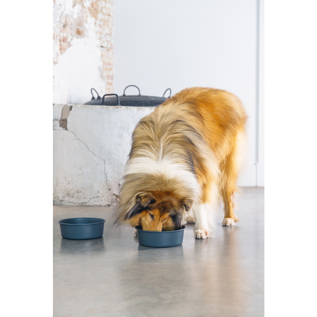 Beeztees Dbl Feribo Paslanmaz Çelik Köpek Mama Su Kabı 1,9lt (Siyah)