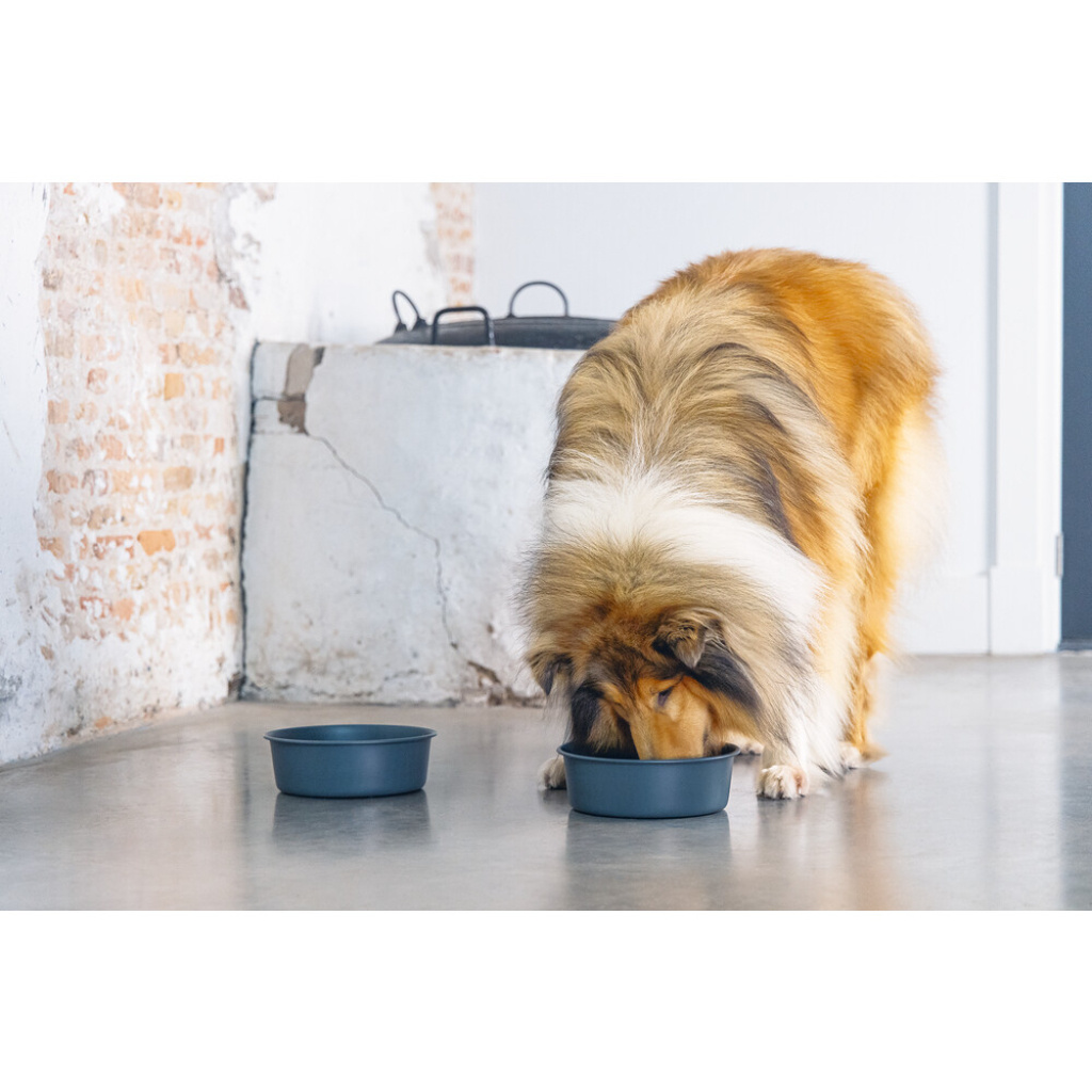 Beeztees Dbl Feribo Paslanmaz Çelik Köpek Mama Su Kabı 1,9lt (Siyah)