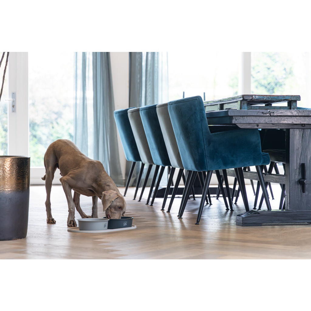 Beeztees Dbl Feribo Paslanmaz Çelik Köpek Mama Su Kabı 1,9lt (Siyah)