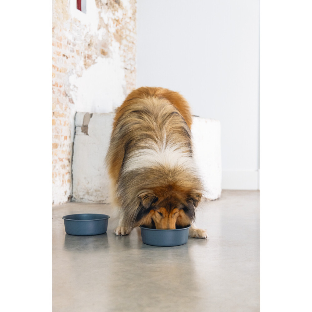 Beeztees Dbl Feribo Paslanmaz Çelik Köpek Mama Su Kabı 1,9lt (Siyah)