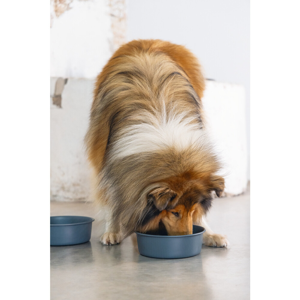 Beeztees Dbl Feribo Paslanmaz Çelik Köpek Mama Su Kabı 1,9lt (Siyah)
