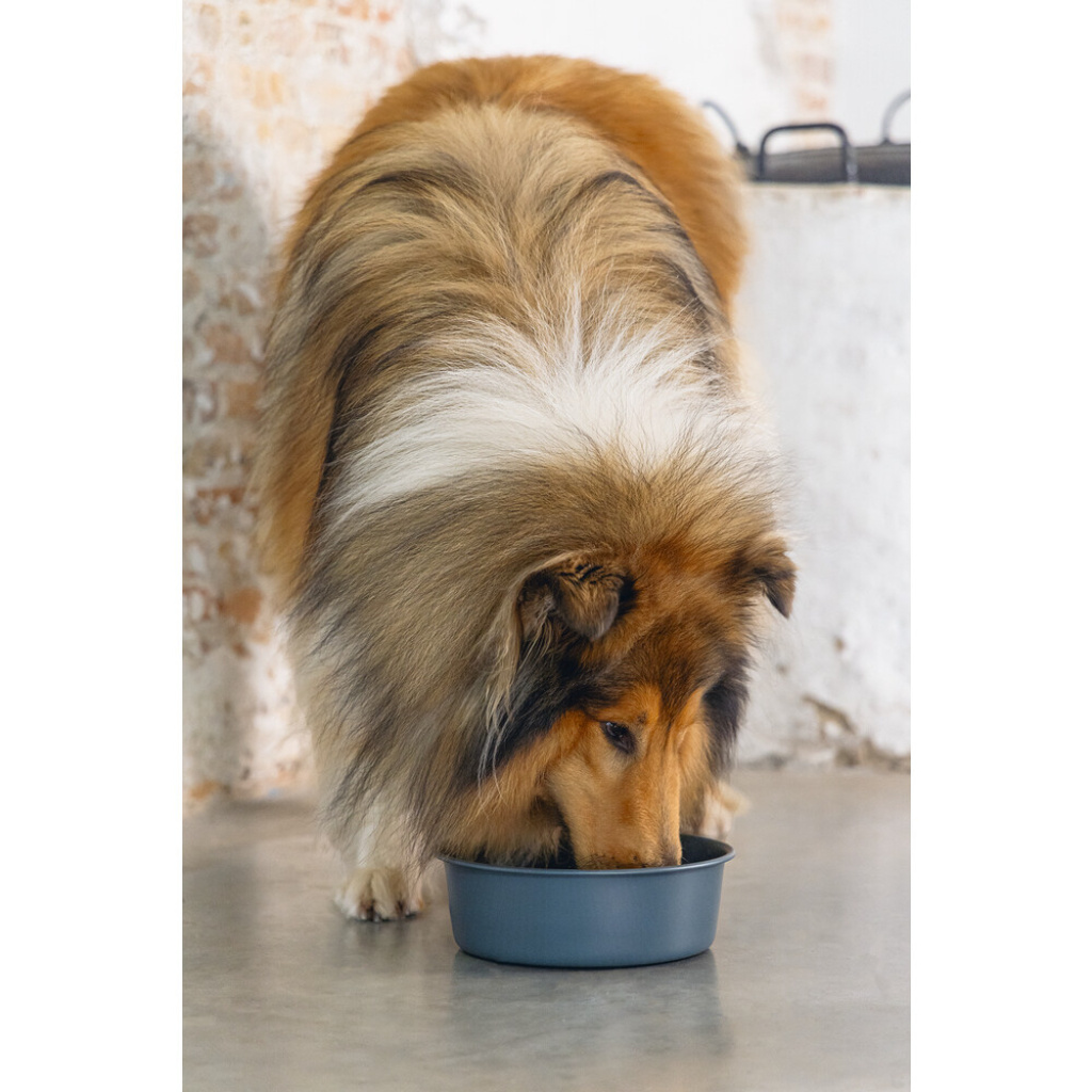 Beeztees Dbl Feribo Paslanmaz Çelik Köpek Mama Su Kabı 1,9lt (Siyah)