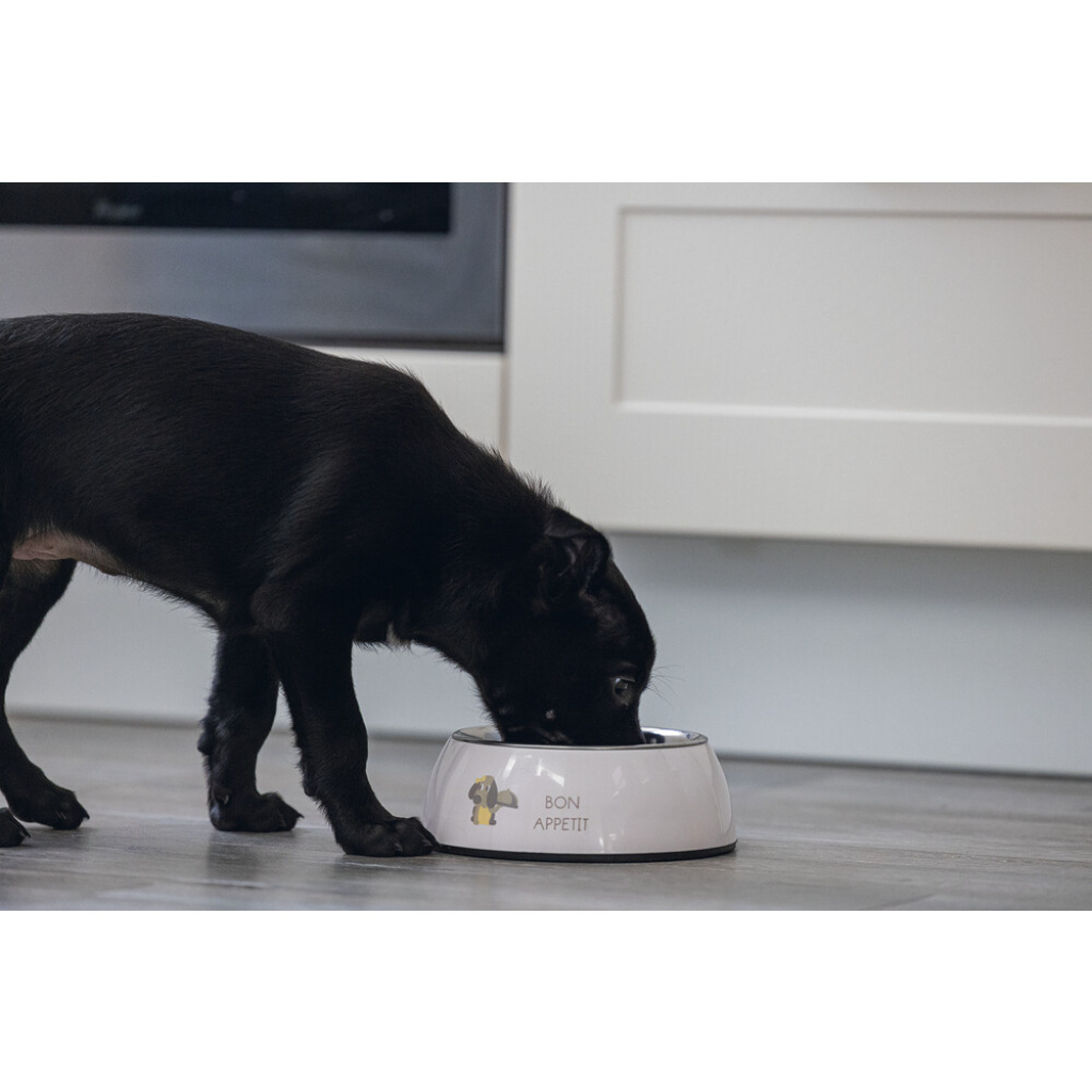 Beeztees Binky Paslanmaz Çelik Köpek Mama Su Kabı 350ml