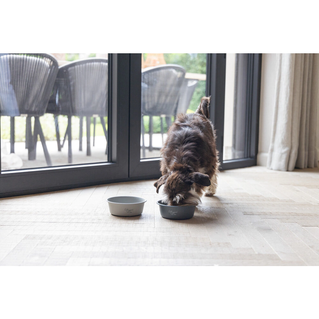 Beeztees Dbl Paslanmaz Çelik Köpek Mama Su Kabı 940ml (Gri)