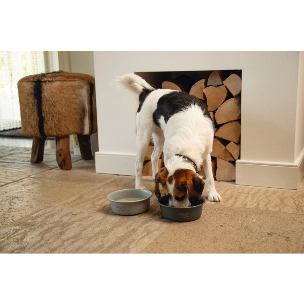 Beeztees Dbl Paslanmaz Çelik Köpek Mama Su Kabı 940ml (Gri)