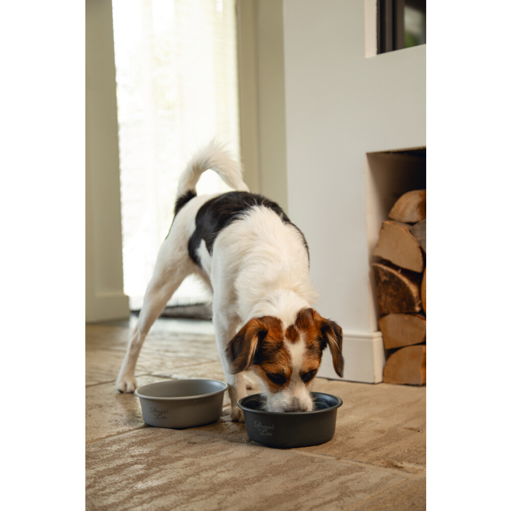 Beeztees Dbl Paslanmaz Çelik Köpek Mama Su Kabı 940ml (Gri)
