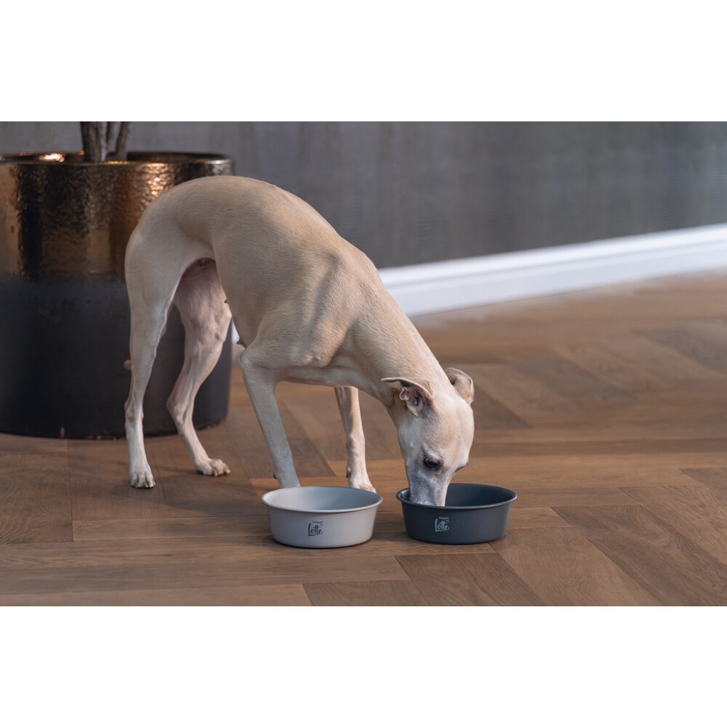 Beeztees Dbl Paslanmaz Çelik Köpek Mama Su Kabı 940ml (Siyah)