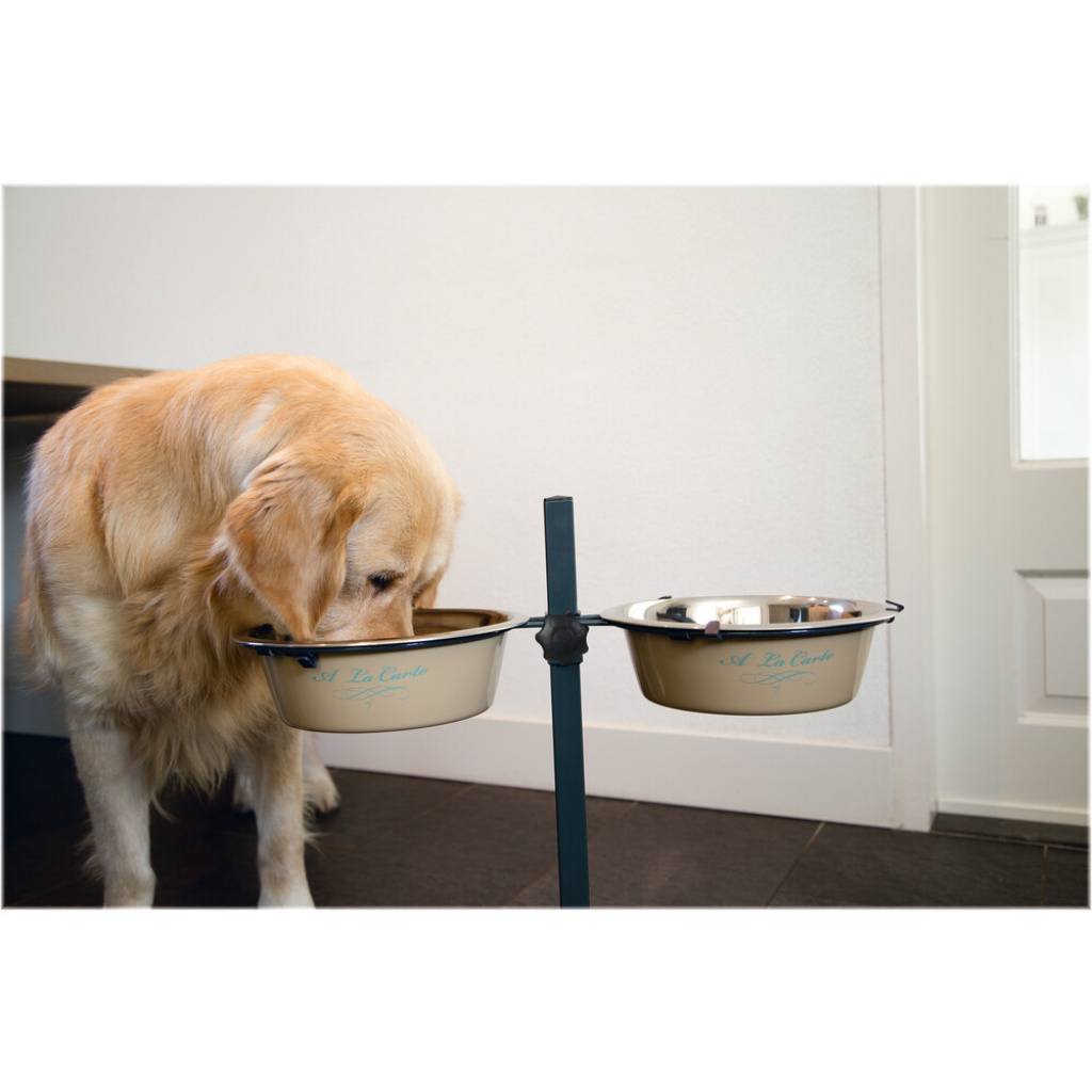 Beeztees Paslanmaz Çelik Ayaklı Köpek İkili Mama Su Kabı 2x2,5lt