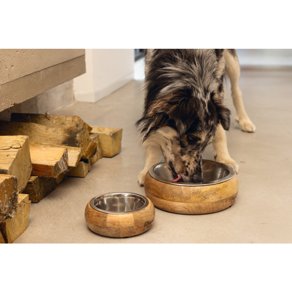 Beeztees Dbl Paslanmaz Çelik Dışı Masif Ahşap Köpek Mama Su Kabı 1300ml