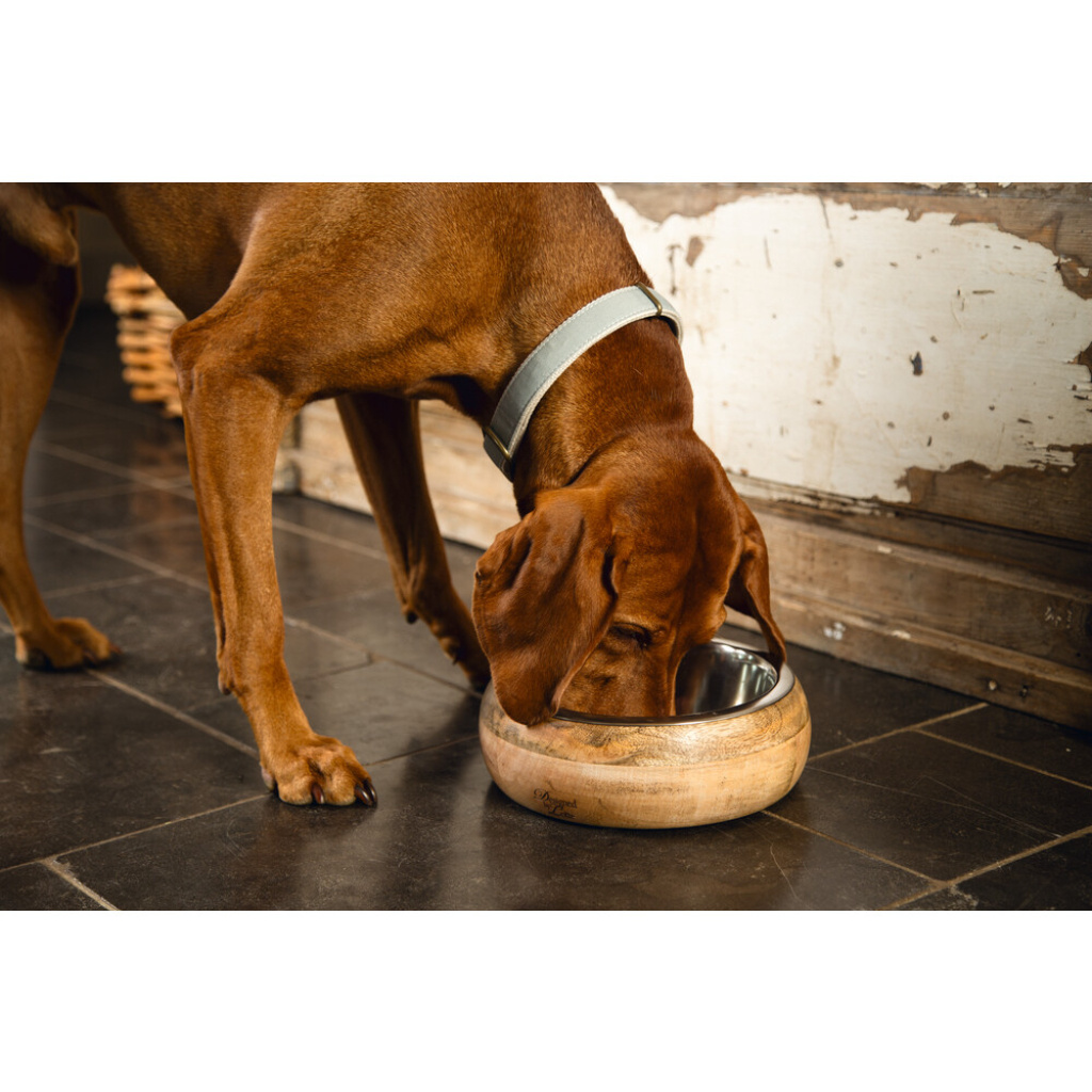 Beeztees Dbl Paslanmaz Çelik Dışı Masif Ahşap Köpek Mama Su Kabı 1300ml