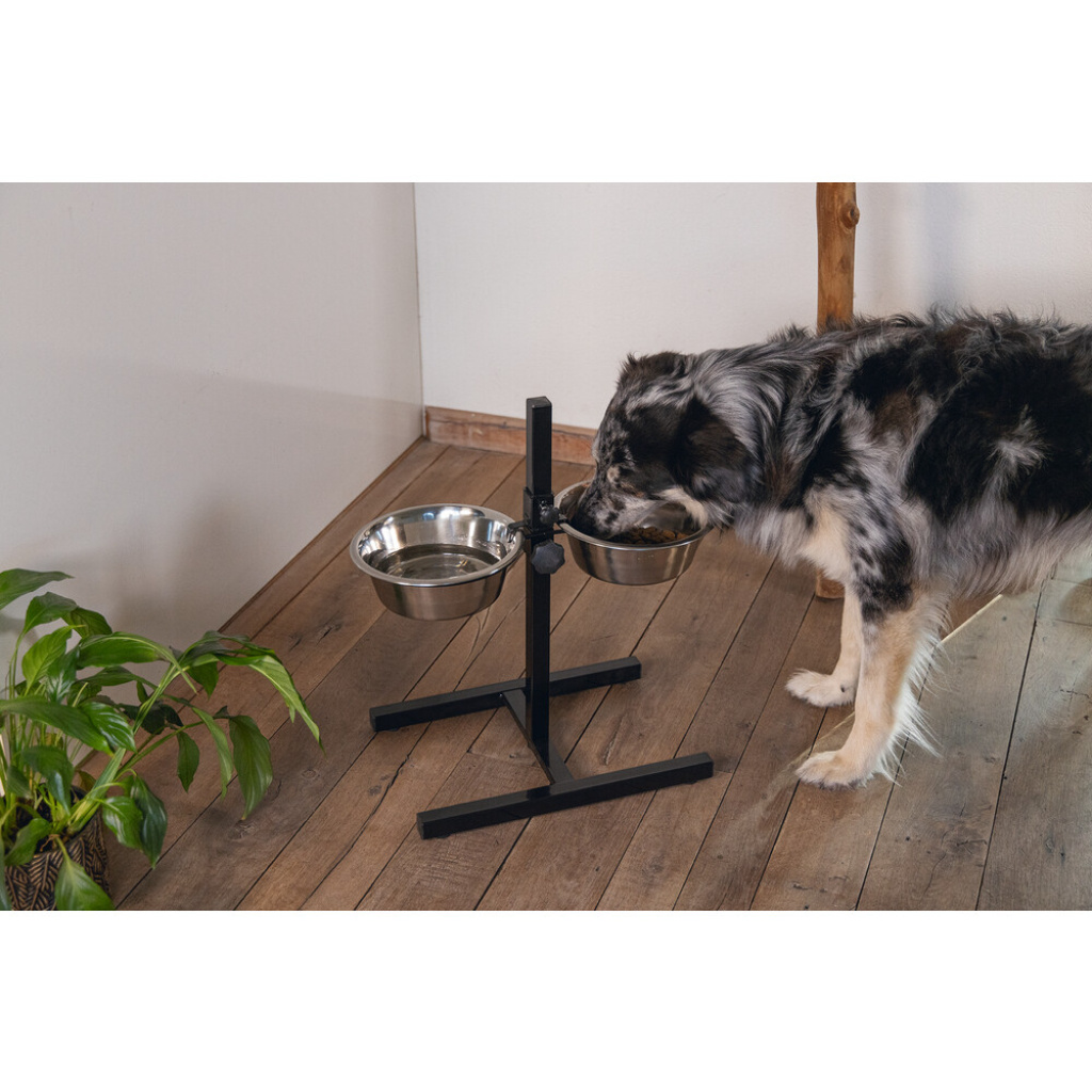 Beeztees Paslanmaz Çelik Ayaklı Köpek İkili Mama Su Kabı 2x2,5lt