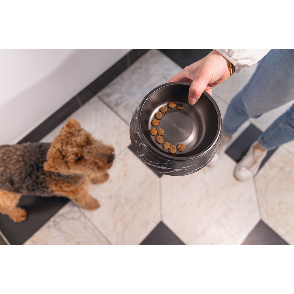 Beeztees Dbl Meis Paslanmaz Çelik Köpek Mama Su Kabı 350ml