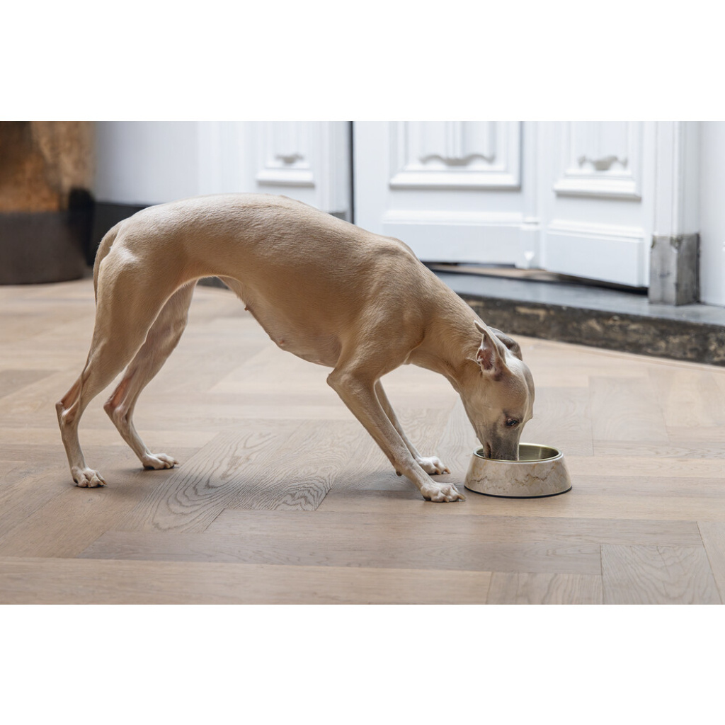 Beeztees Dbl Meis Paslanmaz Çelik Köpek Mama Su Kabı 350ml (Sarı)