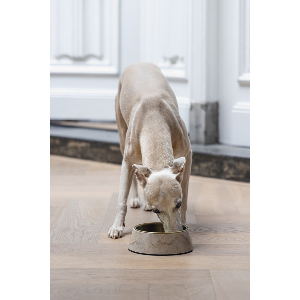 Beeztees Dbl Meis Paslanmaz Çelik Köpek Mama Su Kabı 350ml (Sarı)