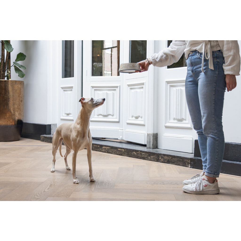 Beeztees Dbl Meis Paslanmaz Çelik Köpek Mama Su Kabı 350ml (Sarı)