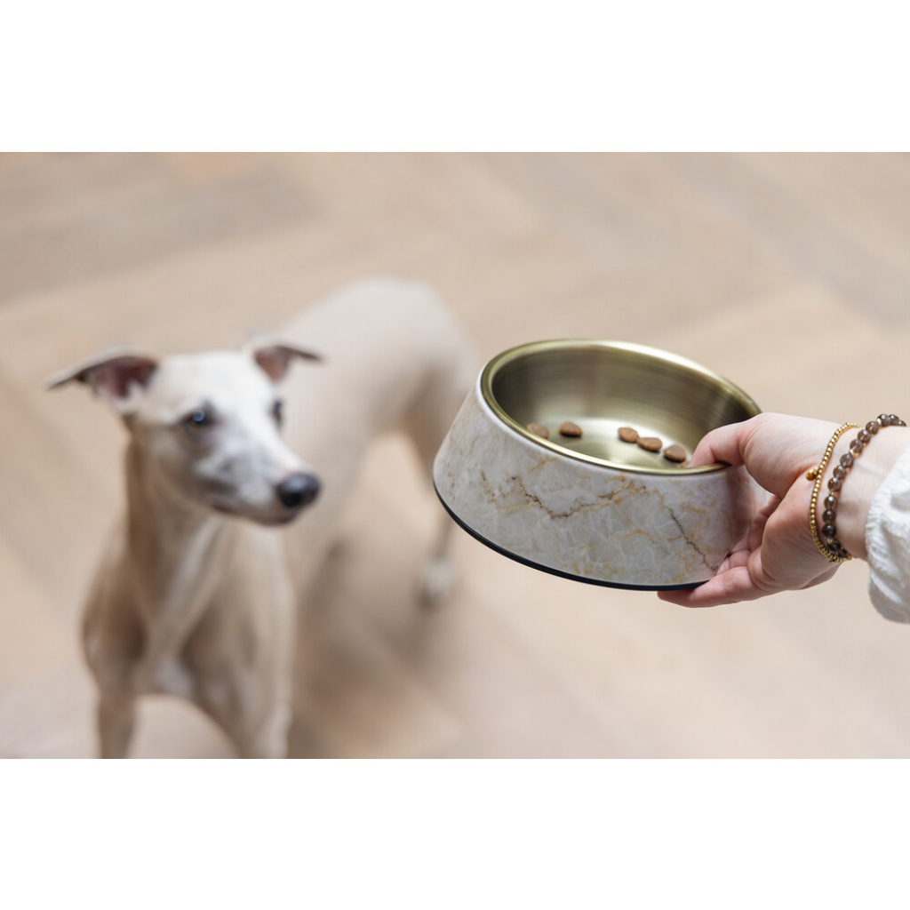 Beeztees Dbl Meis Paslanmaz Çelik Köpek Mama Su Kabı 350ml (Sarı)