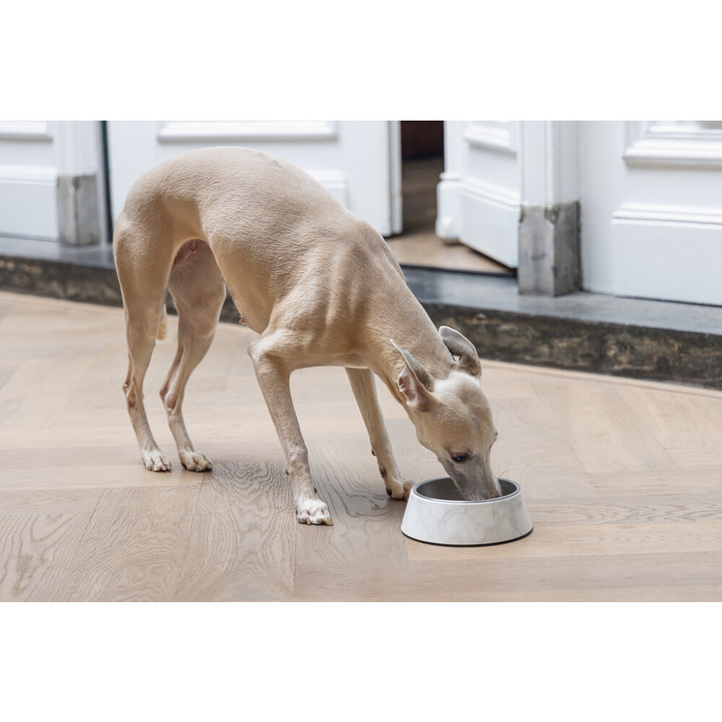 Beeztees Dbl Meis Paslanmaz Çelik Köpek Mama Su Kabı 350ml (Beyaz)