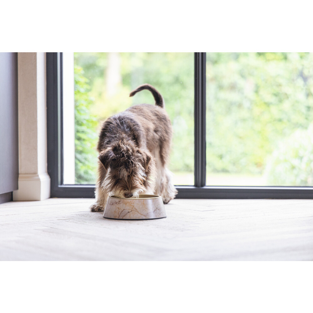 Beeztees Dbl Meis Paslanmaz Çelik Köpek Mama Su Kabı 160ml (Sarı)