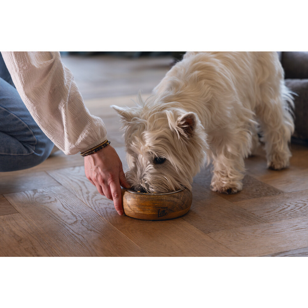 Beeztees Dbl Mandira Paslanmaz Çelik Masif Ahşap Köpek Mama Su Kabı 650ml