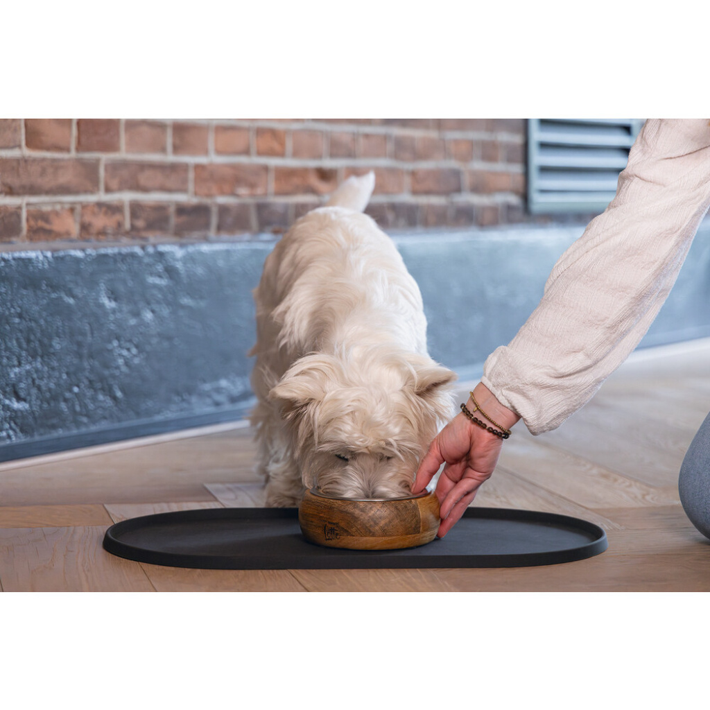 Beeztees Dbl Mandira Paslanmaz Çelik Masif Ahşap Köpek Mama Su Kabı 650ml