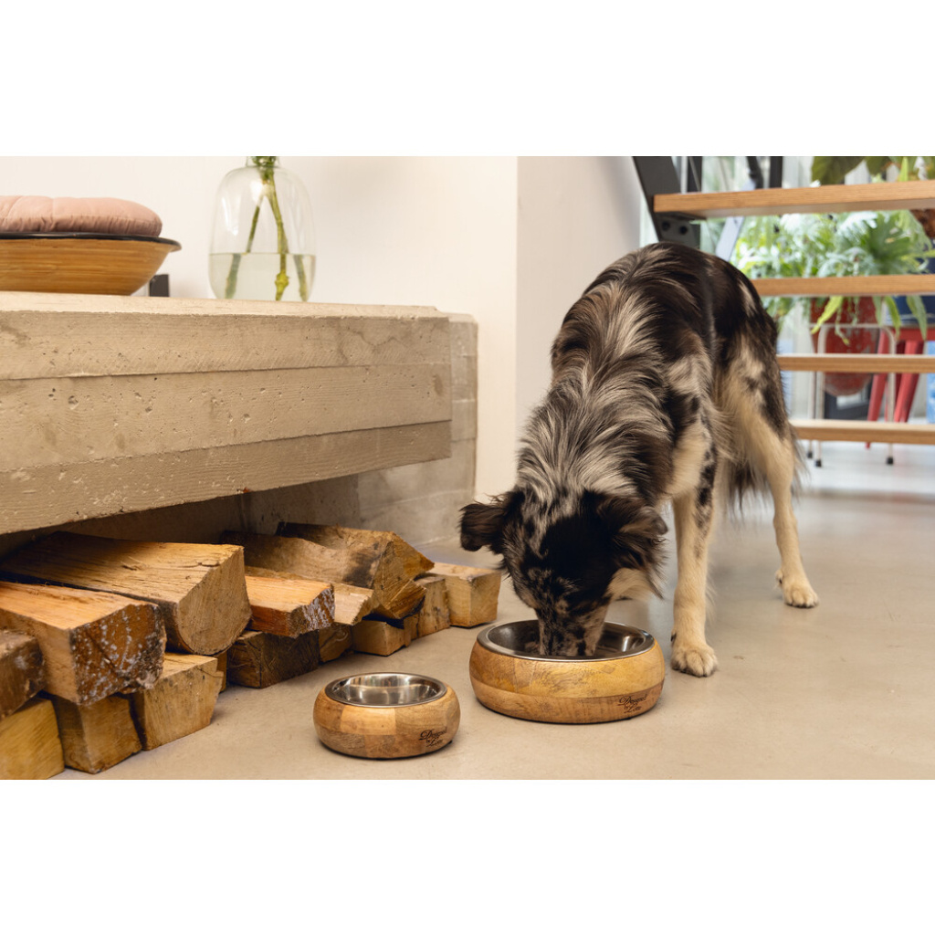 Beeztees Dbl Mandira Paslanmaz Çelik Masif Ahşap Köpek Mama Su Kabı 650ml