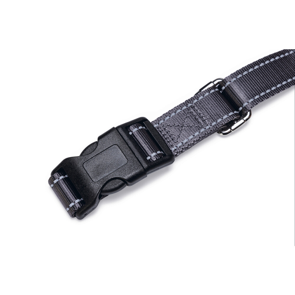 Beeztees Şok Emicili Köpek Yürüyüş ve Koşu Gezdirme Kayışı ve Bel Kemeri 180-200cm (Gri)