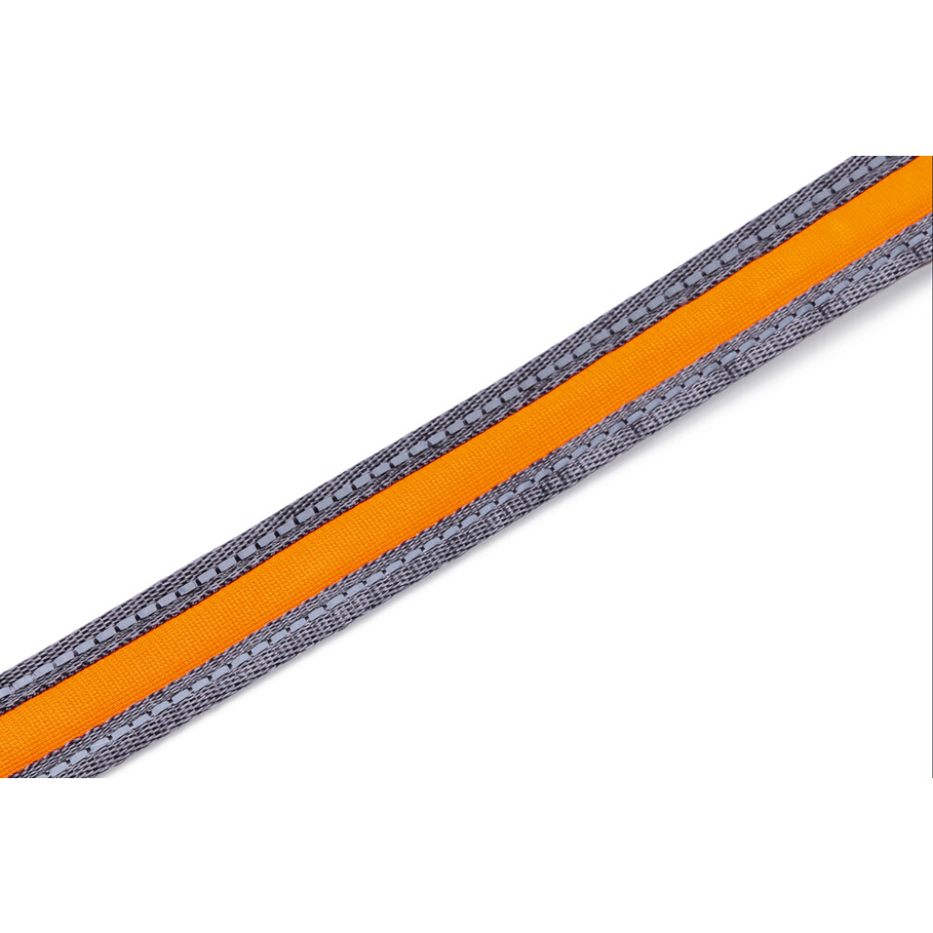 Beeztees Şok Emicili Köpek Yürüyüş ve Koşu Gezdirme Kayışı ve Bel Kemeri 180-200cm (Gri)