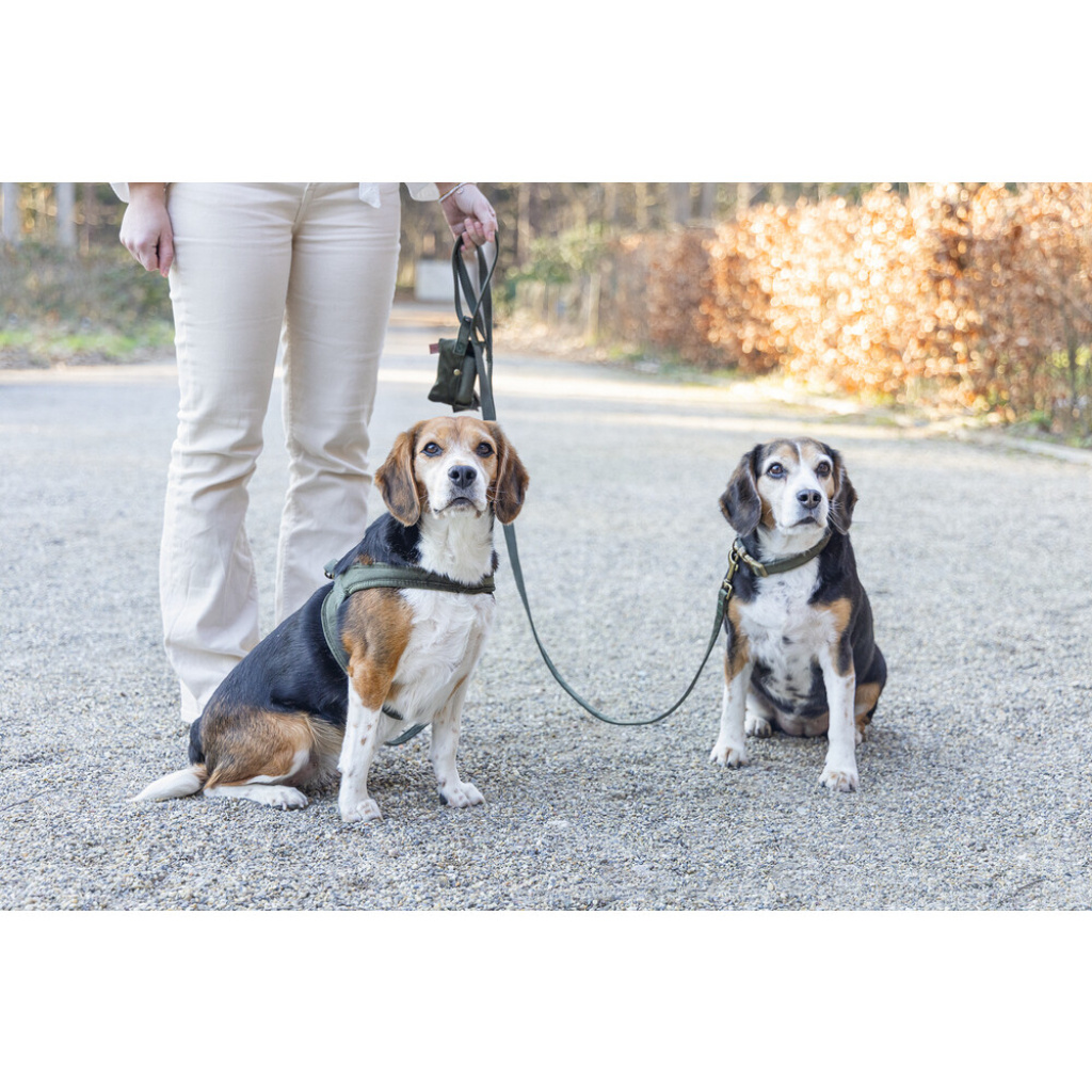 Beeztees Dbl Velura Köpek Gezdirme Kayışı 120cm (Yeşil)