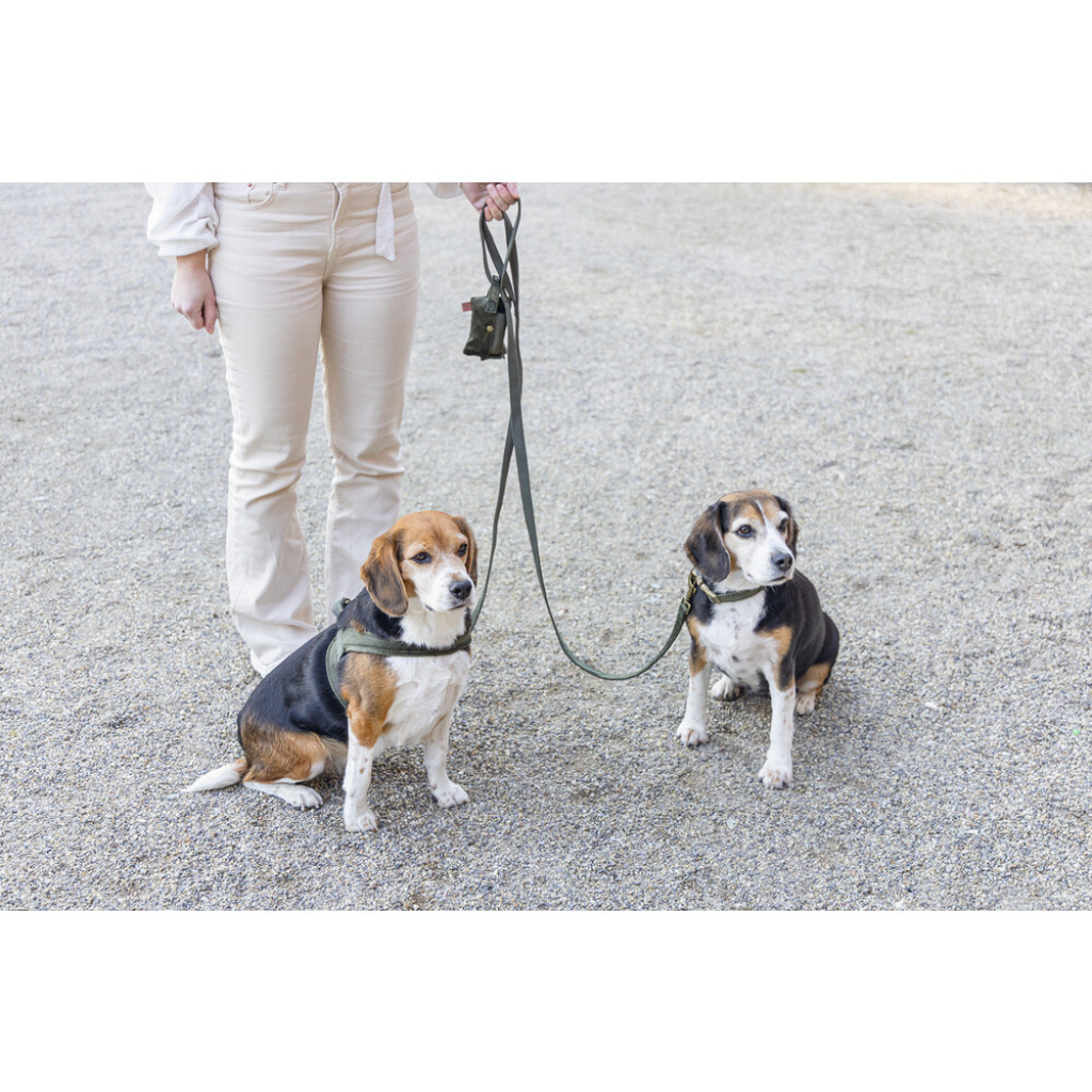 Beeztees Dbl Velura Köpek Gezdirme Kayışı 120cm (Yeşil)