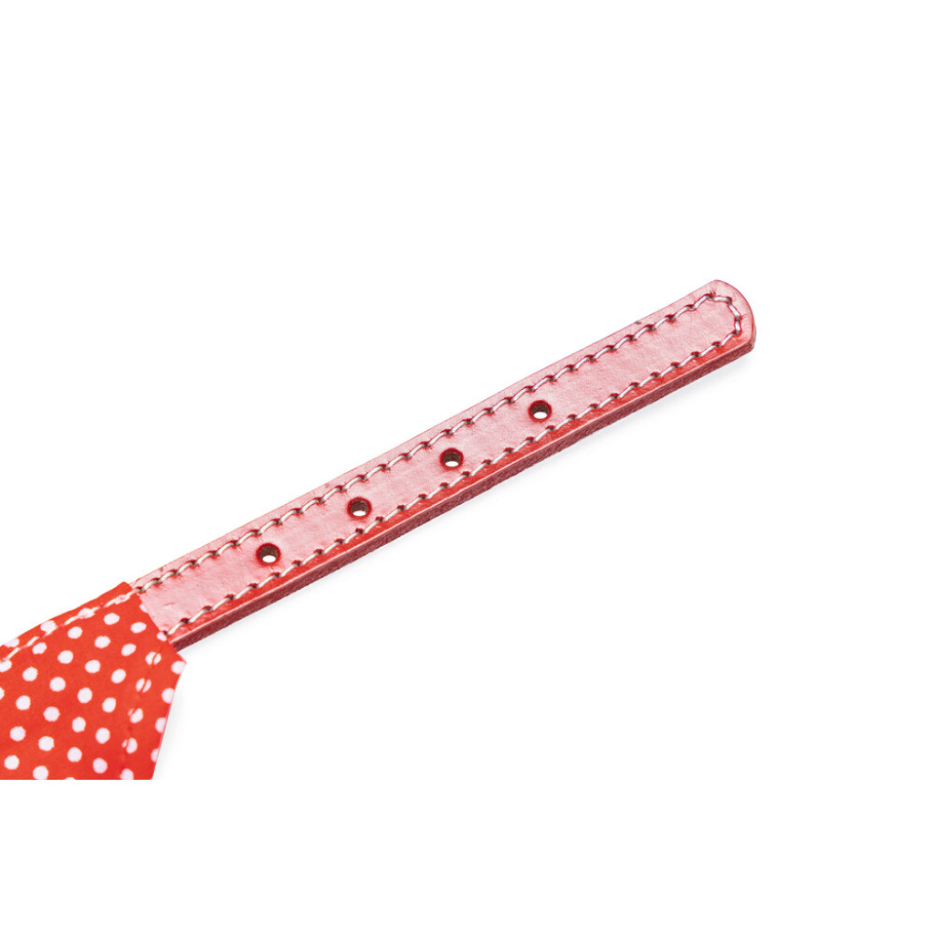 Beeztees Zilli Bandanalı Kedi Boyun Tasması 24-29cm (Kırmızı)