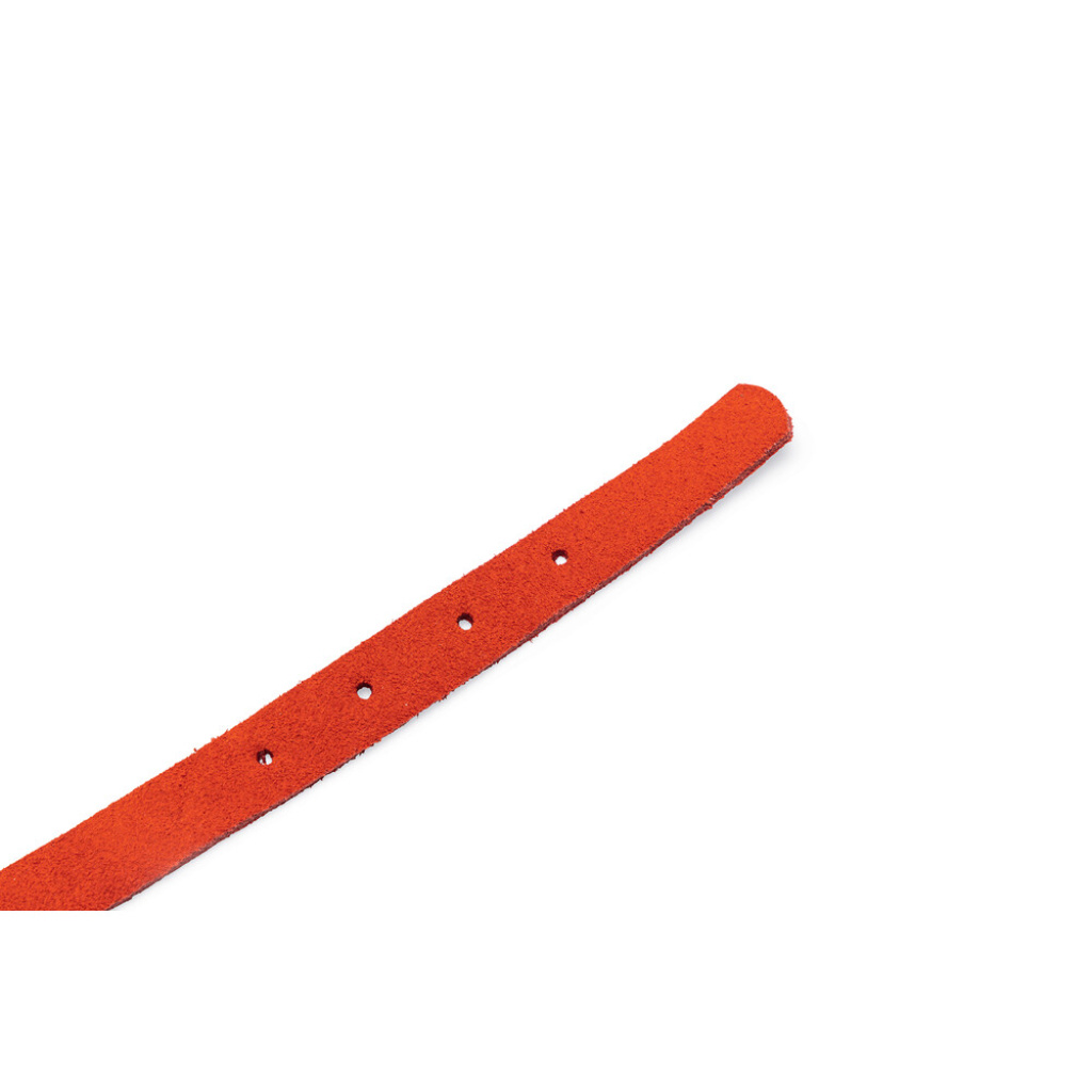 Beeztees Süet Kedi Boyun Tasması 24-29cm (Kırmızı)