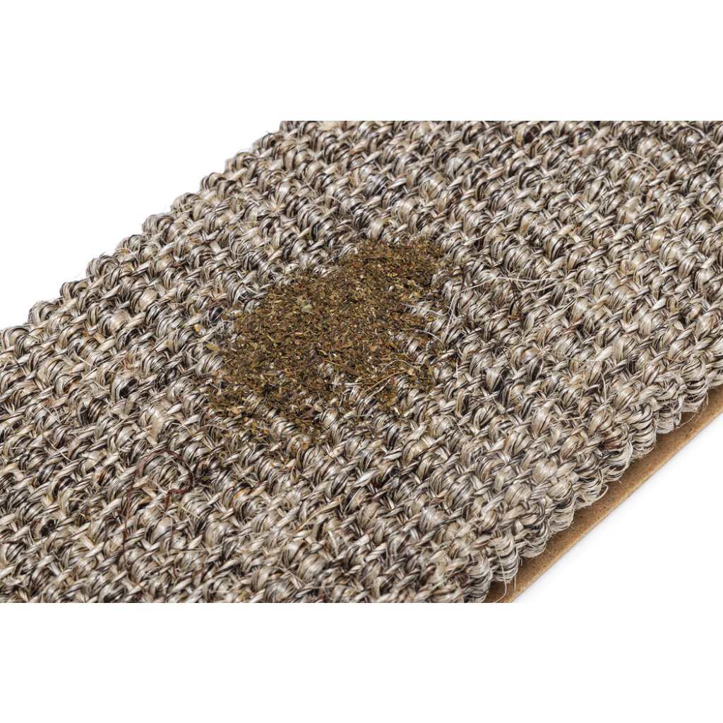 Beeztees Kedi Tırmalama Tahtası ve Kedi Otu 60x11cm [L]