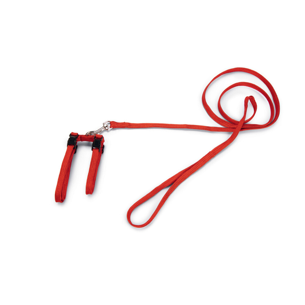 Beeztees Kedi Göğüs Tasması ve Gezdirme Kayışı 130cm (Kırmızı)