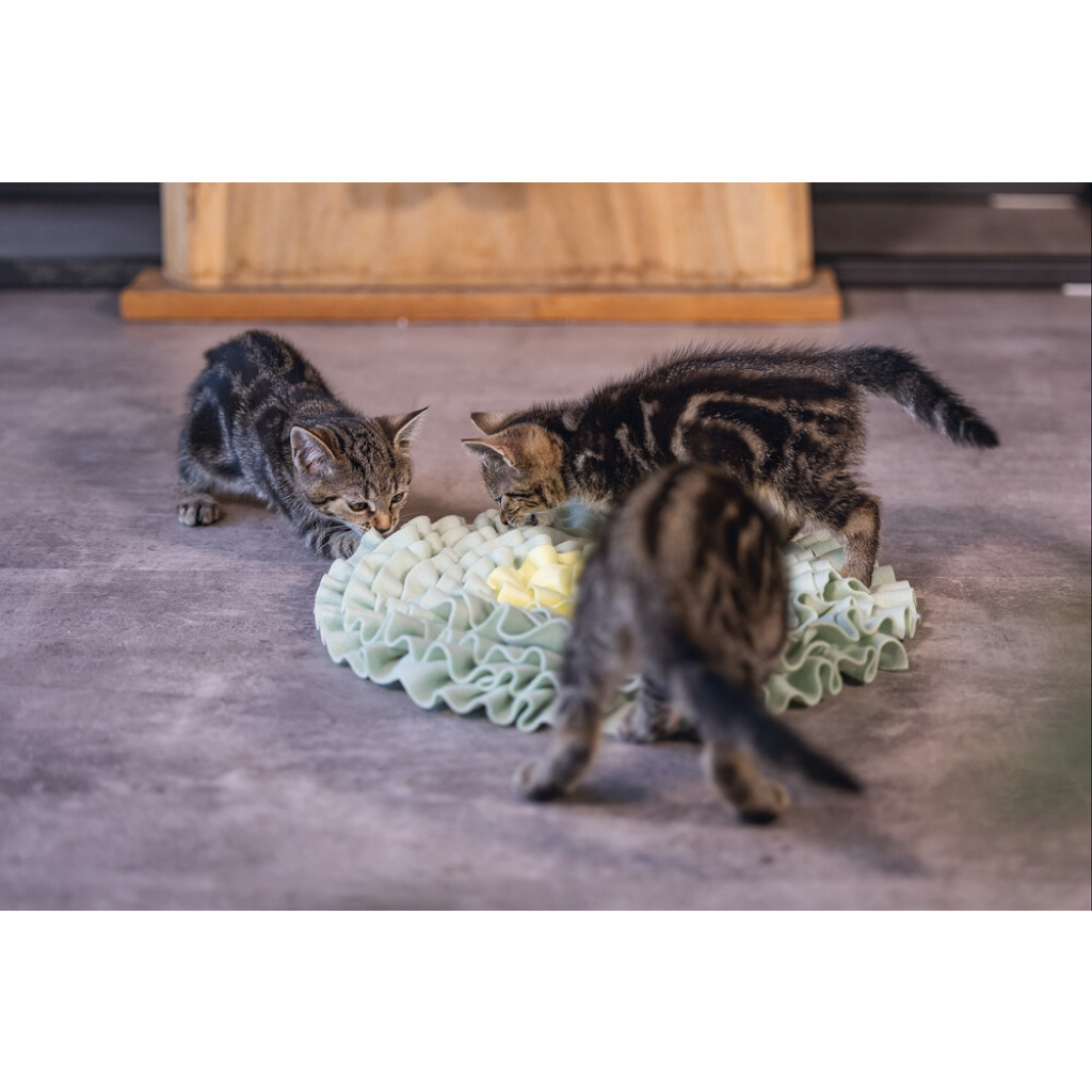 Beeztees Flowie Saklama Hazneli Yavru Kedi Oyuncağı 38x38x3cm