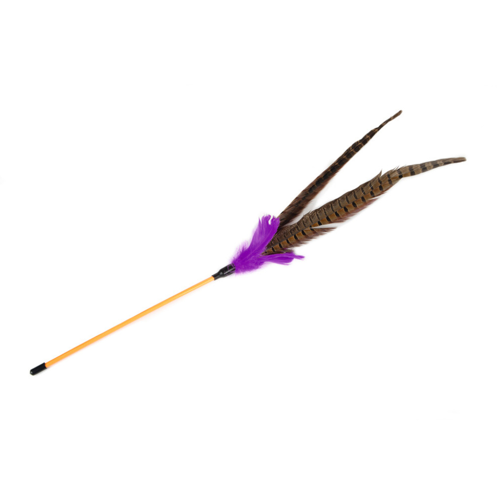 Beeztees Tickler Tüylü Uçlu Kedi Oltası 30x10x3cm