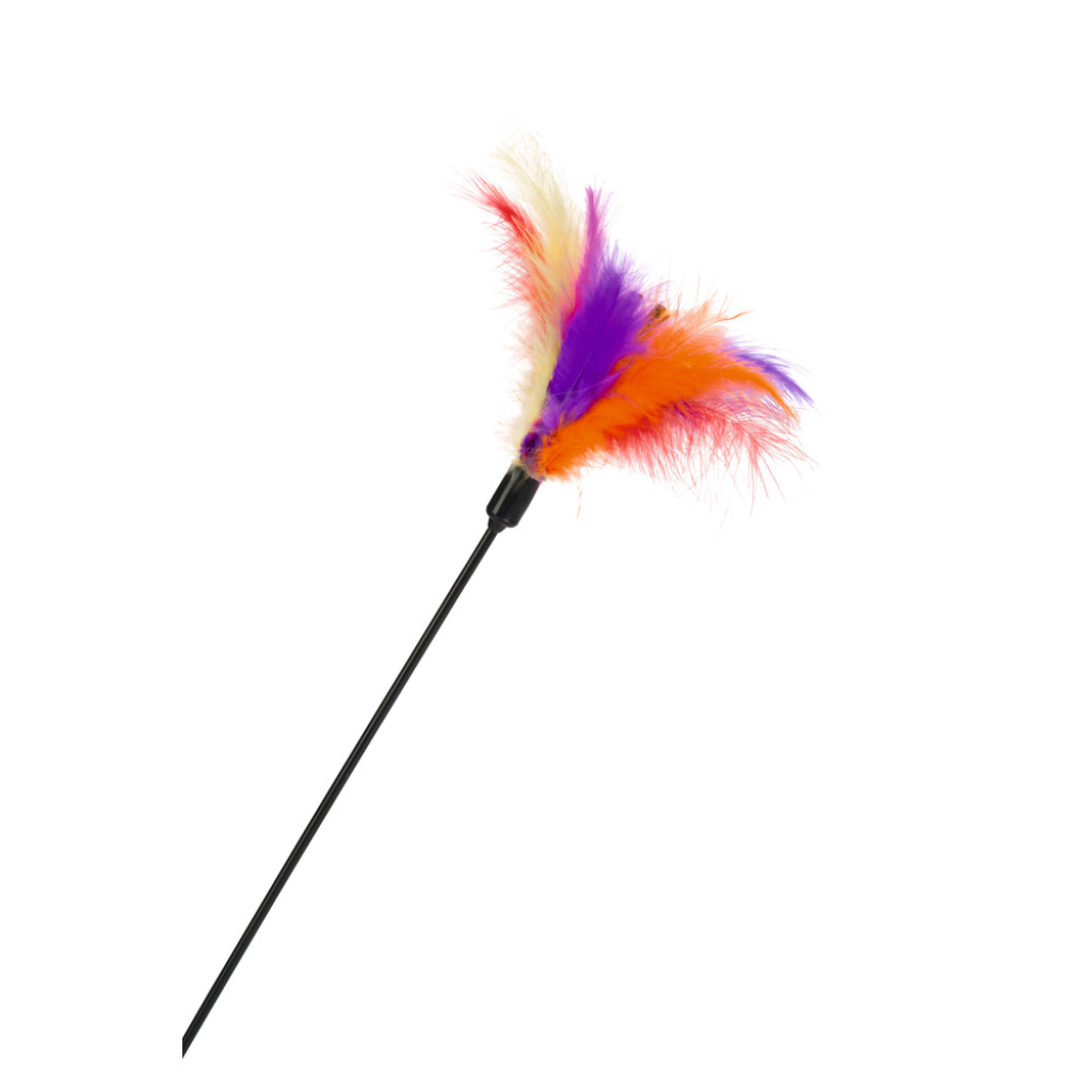 Beeztees Ticker Tüylü Uçlu Kedi Oltası 45cm
