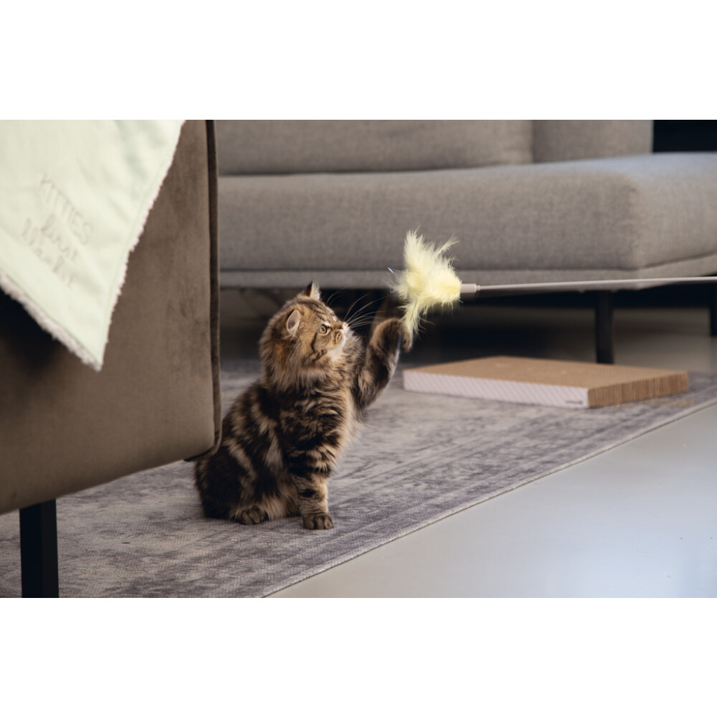 Beeztees Orry Tüylü Uçlu Kedi Oltası 45cm
