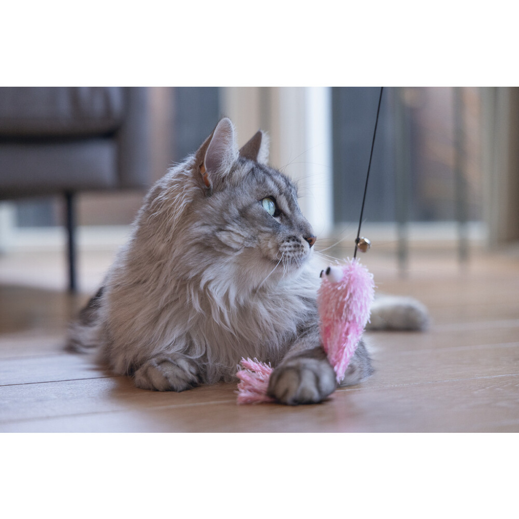 Beeztees Zilli Peluş Ahtapot Olta Kedi Oyuncağı 48cm (Karışık Renkli)