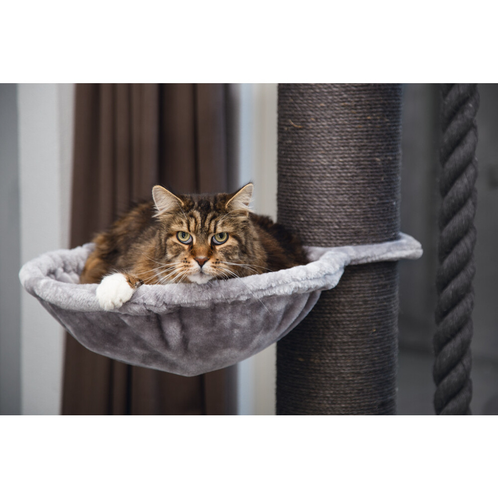 Beeztees Kedi Tırmalama Tahtası 80x80x170cm (Gri)