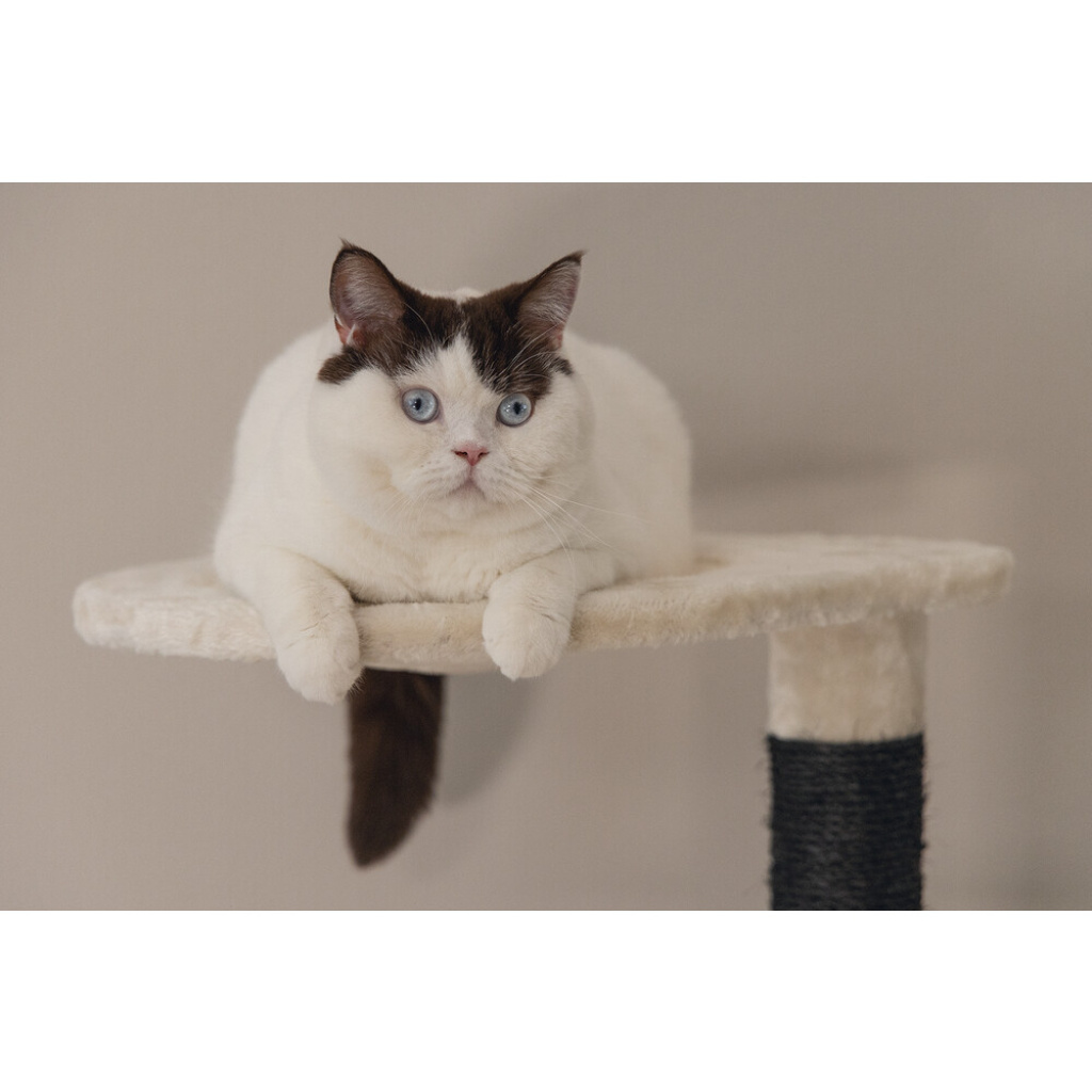 Beeztees Dominja Kedi Tırmalama ve Oyun Evi 50x50x123cm (Beyaz)