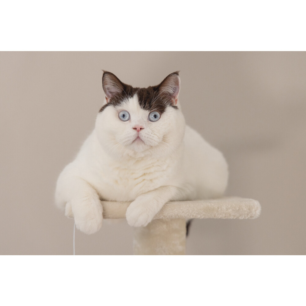 Beeztees Figado Kedi Köşe Tırmalama ve Oyun Evi 40x40x135cm (Krem)