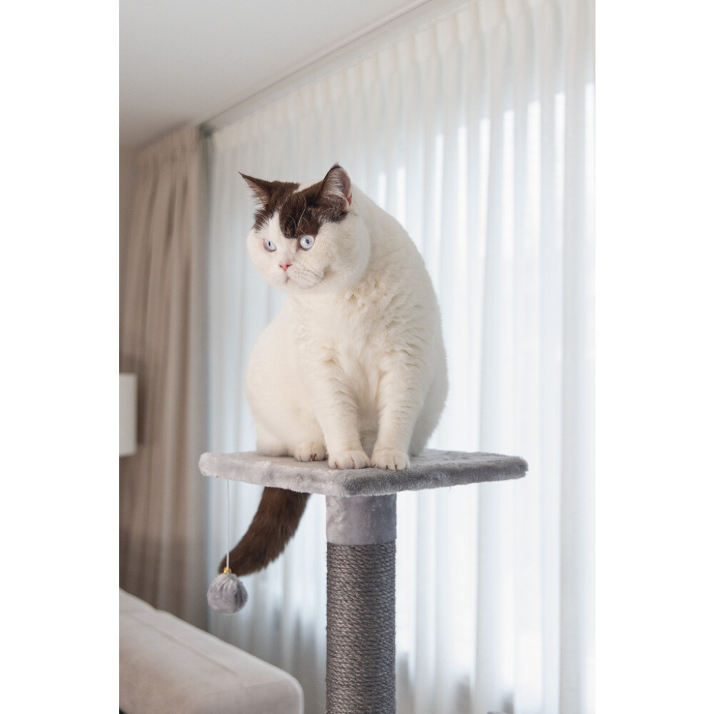 Beeztees Figado Kedi Köşe Tırmalama ve Oyun Evi 40x40x135cm (Gri)