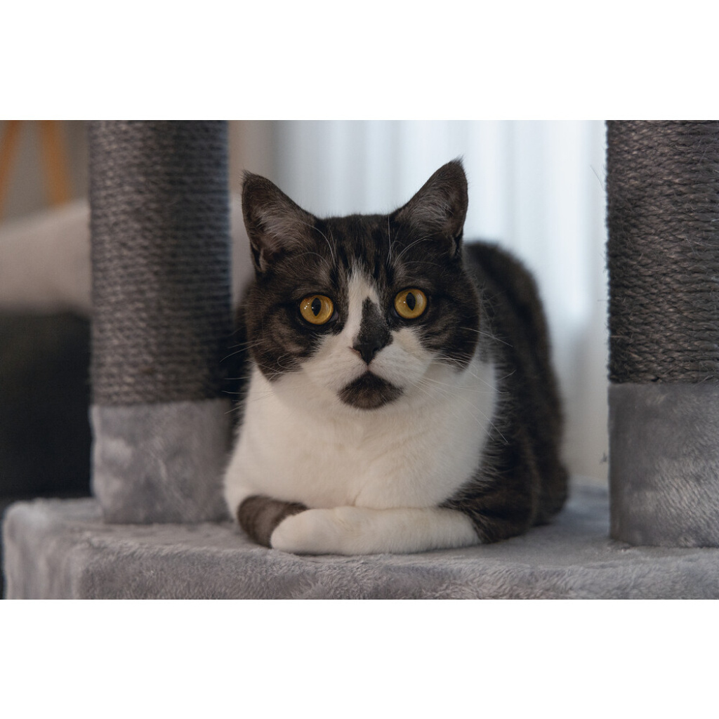 Beeztees Figado Kedi Köşe Tırmalama ve Oyun Evi 40x40x135cm (Gri)