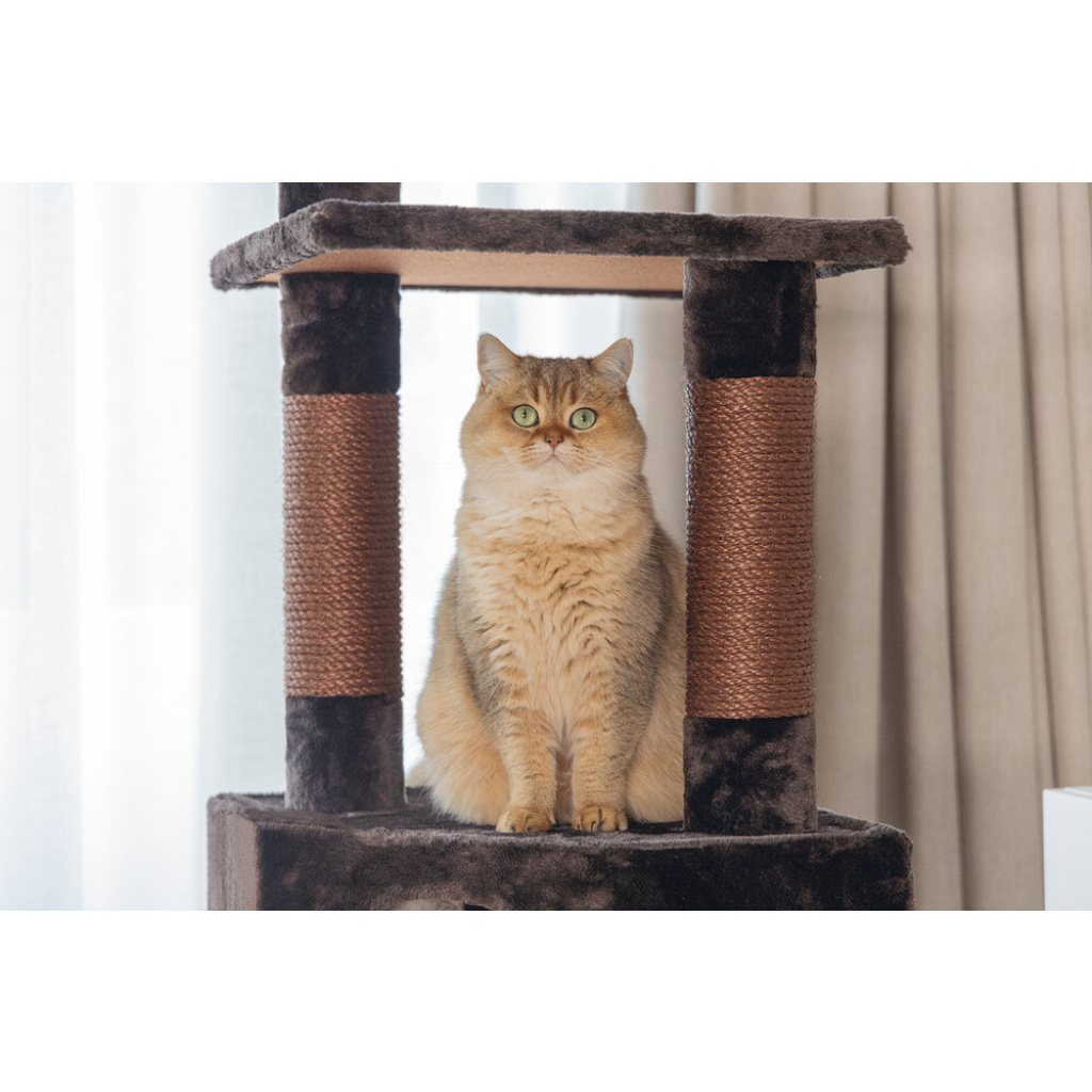 Beeztees Figado Kedi Köşe Tırmalama ve Oyun Evi  40x40x135cm (Kahverengi)
