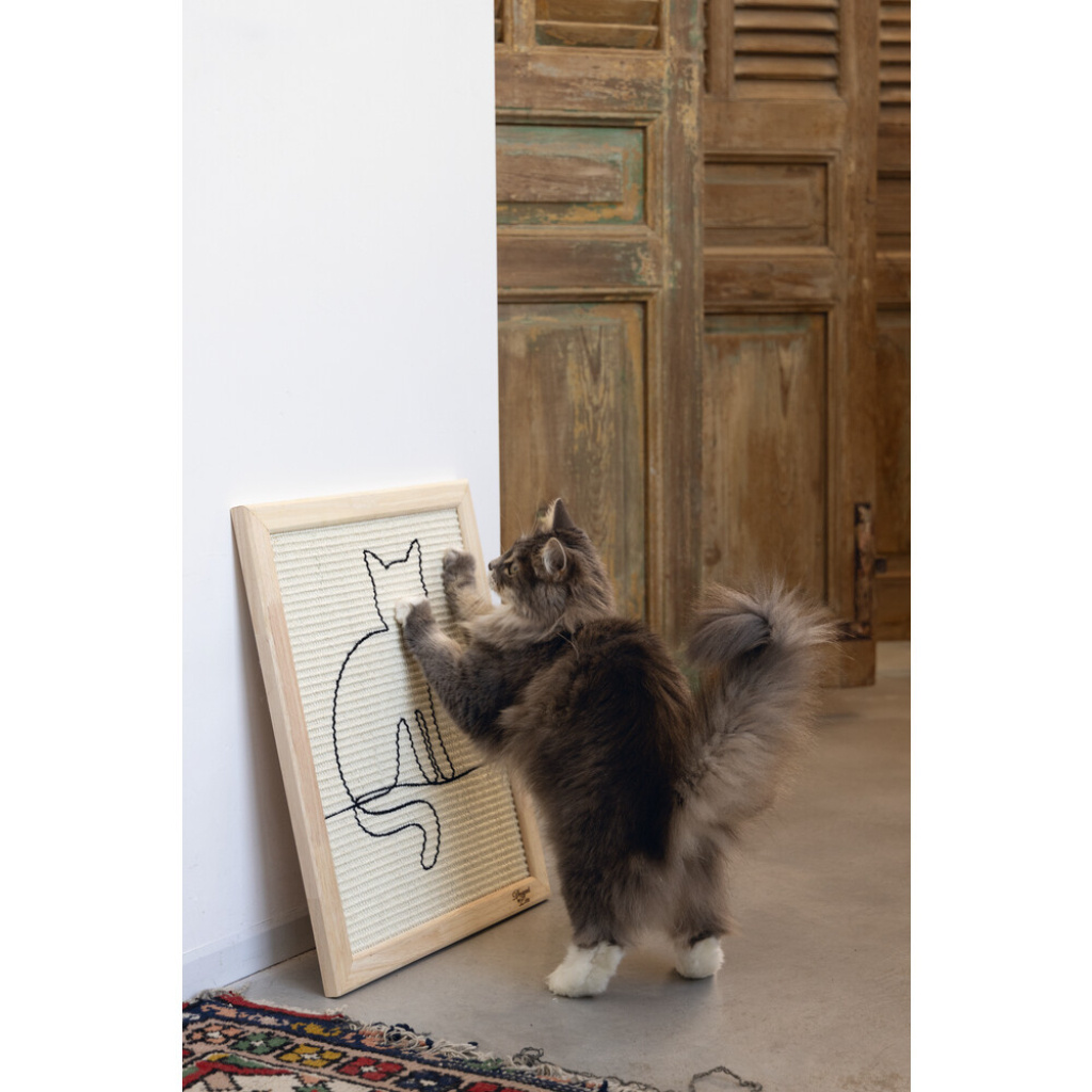 Beeztees Dbl Kedi Tırmalama Tahtası 50x40x2cm