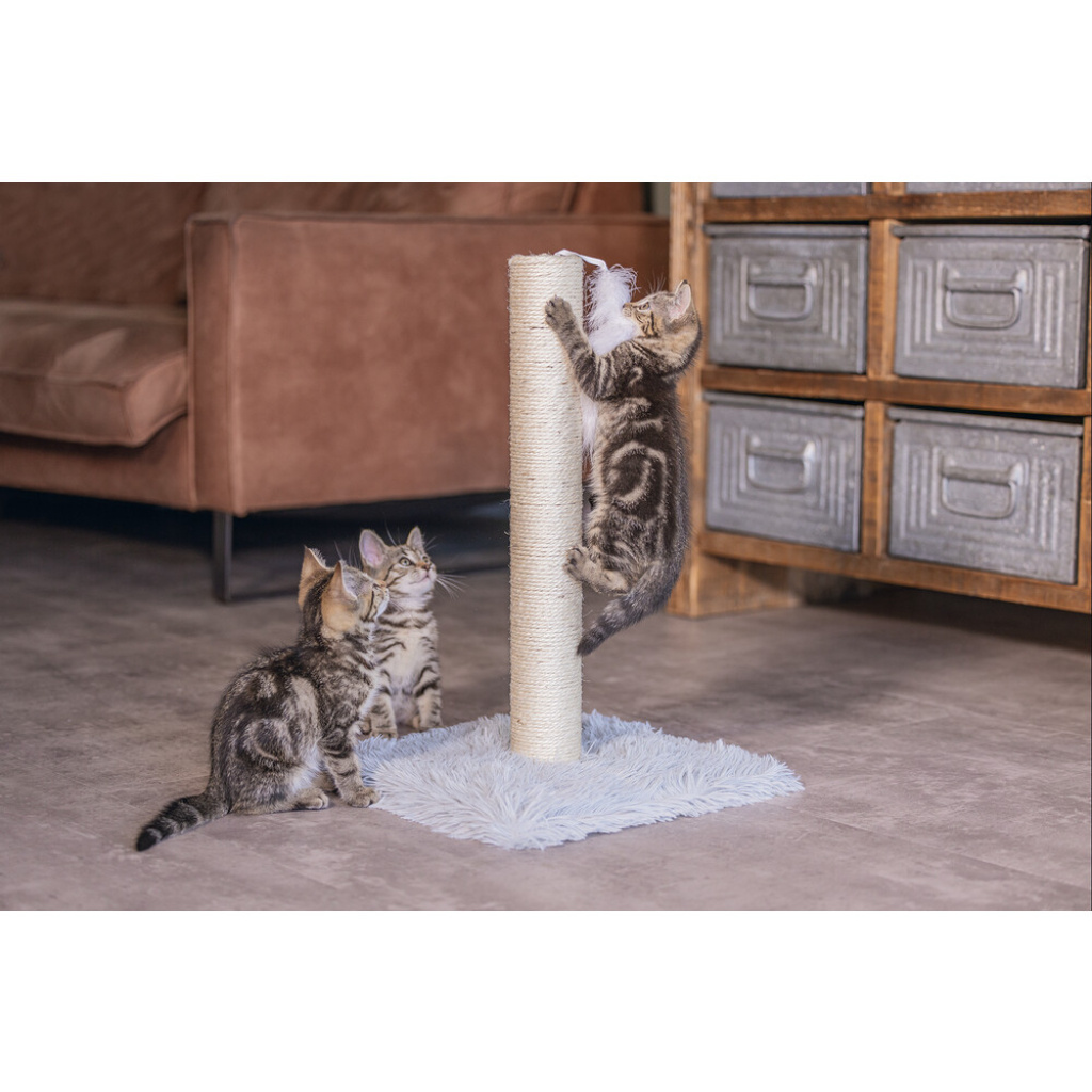 Beeztees Kedi Tırmalama Tahtası ve Oyuncağı 35x35x53cm (Gri)