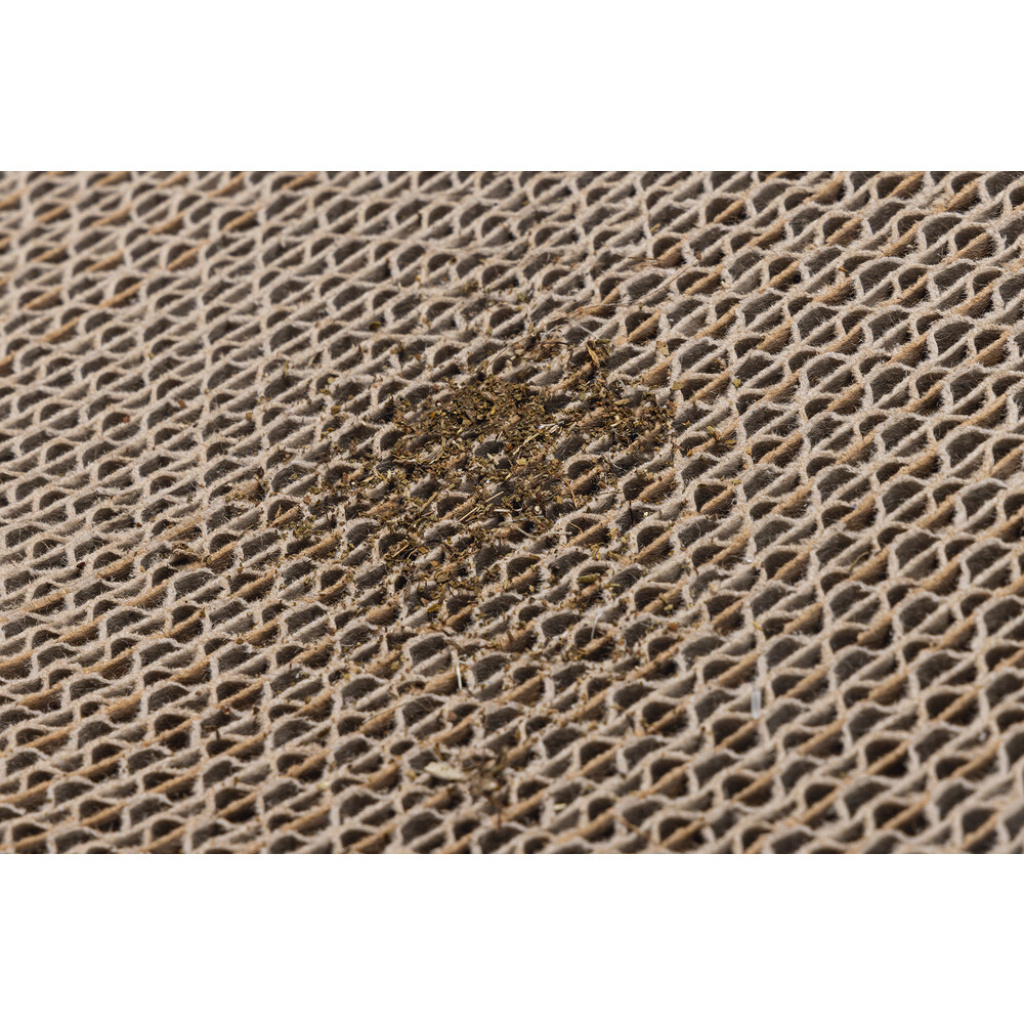 Beeztees Wiva Kedi Karton Tırmalama Tahtası ve Kedi Otu 52x21x10cm